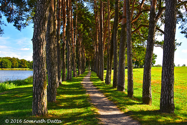 %_tempFileNameA%20nature%20walk%20in%20Mir%
