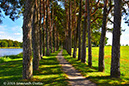 %_tempFileNameA%20nature%20walk%20in%20Mir%