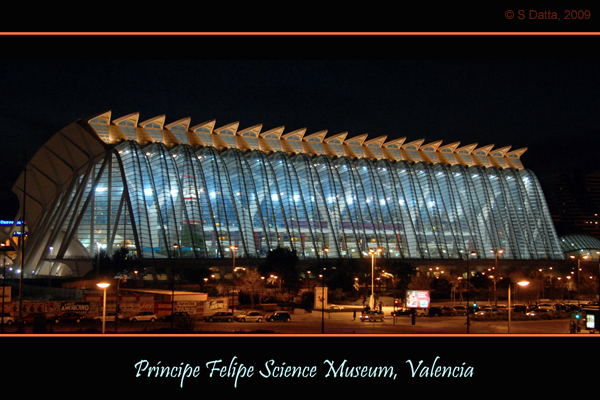Valencia Science Museum at night