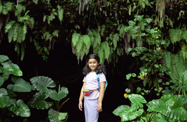 Maraa Grotto