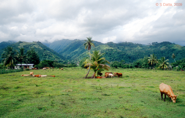 Tahiti countryside