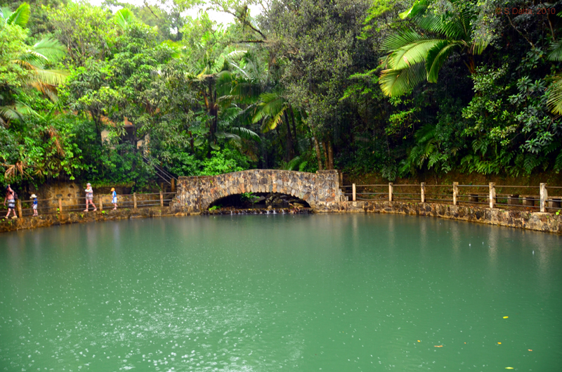 Bano Grande in the rain,  El Yunque rainforest